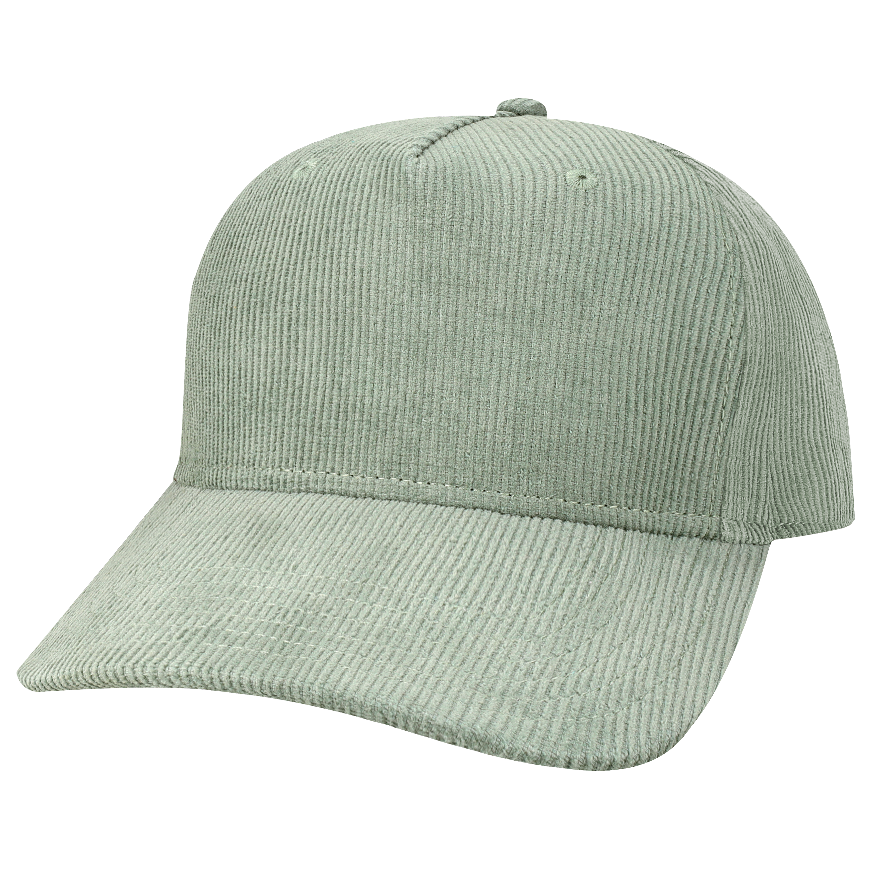 Roadie 5 Panel Adj Hat