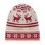 Highline Beanie Recycled